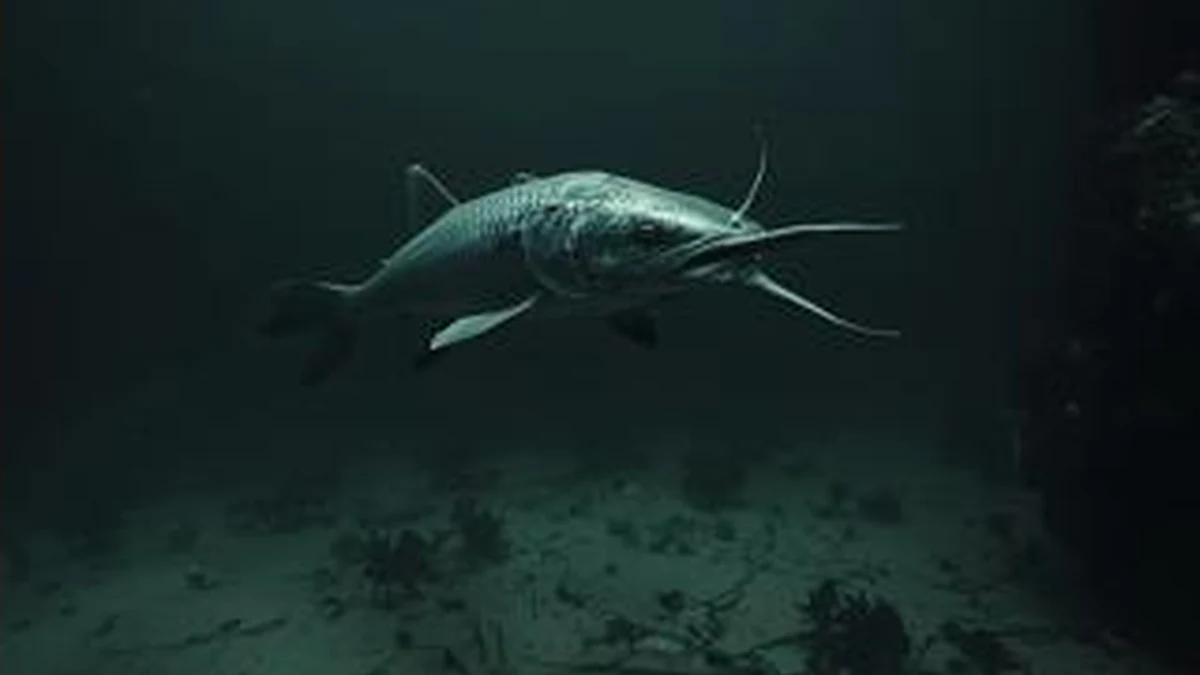 Ilustrativni vizuel kečige pod vodom — priča o ugroženosti jesetri u Srbiji i dunavskom slivu.