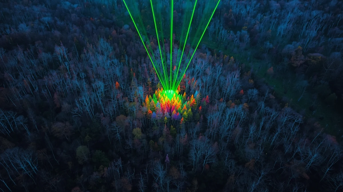 Šumski sklop obasjan LiDAR zracima kao ilustracija strukturne analize biomase i canopy parametara.