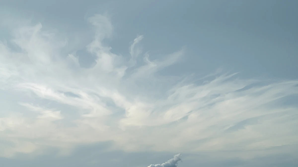 Oštećena šuma pod kišom sa industrijskim dimnjacima u daljini kao ilustracija kiselih kiša