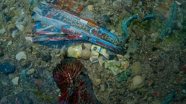 Plastični otpad u sedimentu kao ilustracija mikroplastike u rečnim ekosistemima.