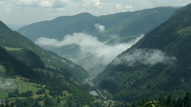 Planinska dolina sa mozaikom livada i šuma pod niskim oblacima — primer raznovrsnog pejzaža koji podržava više života od sterilno održavanih travnjaka.
